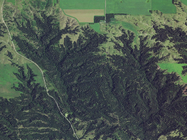 Aerial image of Thomas Creek WMA