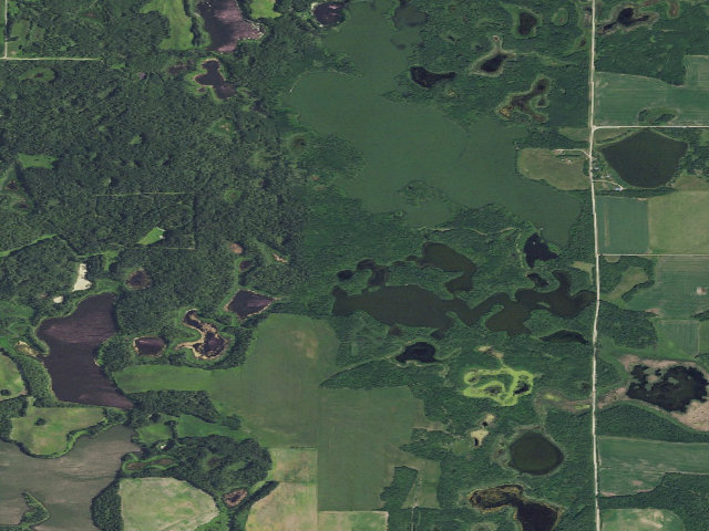 Aerial image of Thompson Lake WMA (Bottineau County)