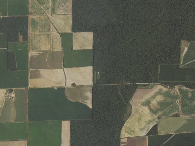 Aerial image of Thompson Tract Access Camping Area