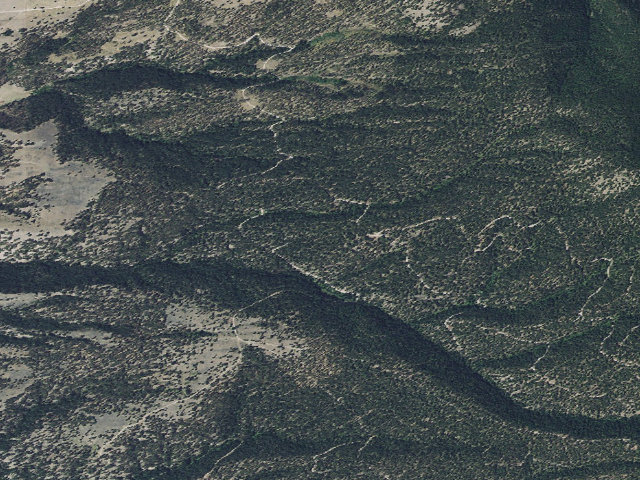 Aerial image of Threemile WMA