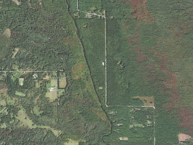 Aerial image of Thunder Bay River State Forest Campground