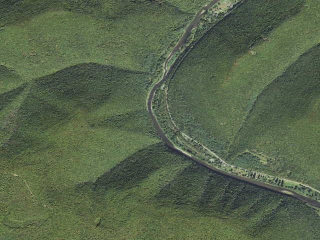 Aerial image of Tiadaghton State Forest primitive campsite BW 009