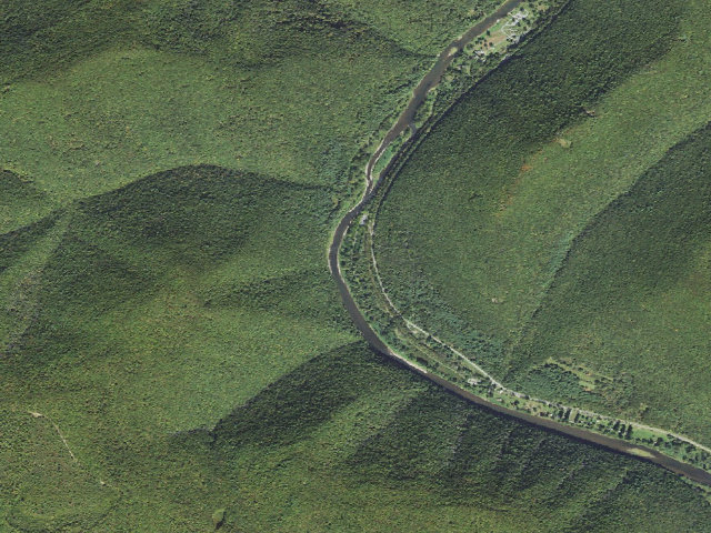 Aerial image of Tiadaghton State Forest primitive campsite BW 013