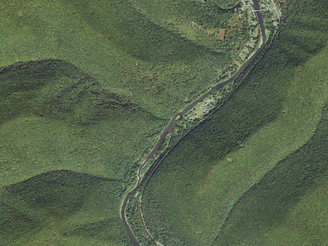 Aerial image of Tiadaghton State Forest primitive campsite NR 004 (Naval Run)