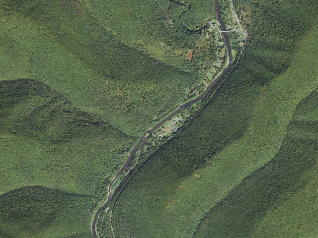 Aerial image of Tiadaghton State Forest primitive campsite NR 001 (Naval Run)