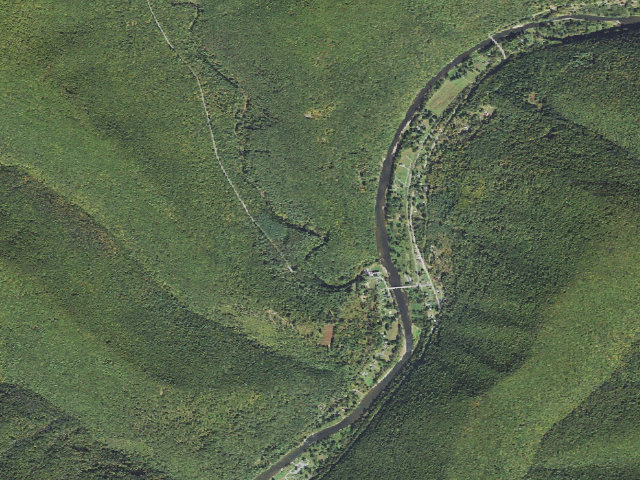 Aerial image of Tiadaghton State Forest primitive campsite SRT 001 (BFT Testle Site)