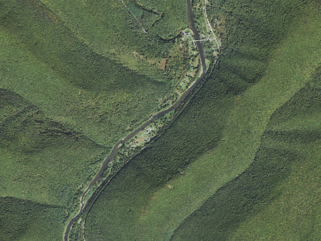 Aerial image of Tiadaghton State Forest primitive campsite TF 010 (Tomb Flats)