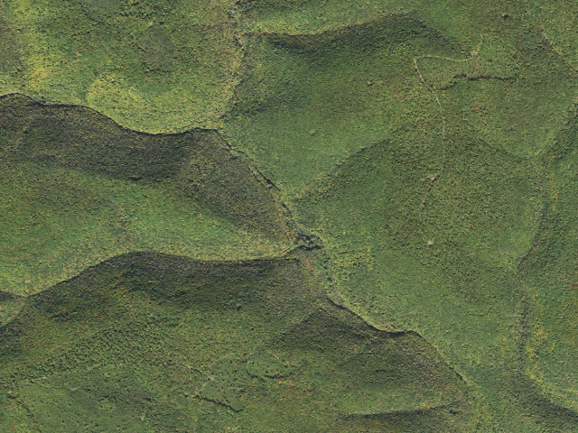 Aerial image of Tiadaghton State Forest roadside campsite 7M 002