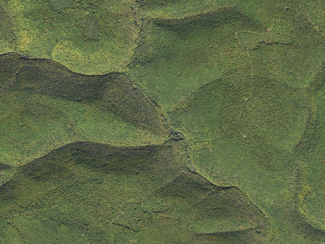 Aerial image of Tiadaghton State Forest roadside campsite 7M 003