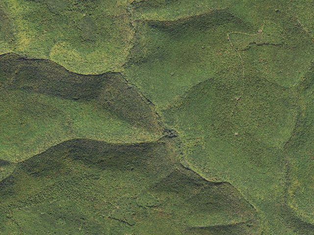 Aerial image of Tiadaghton State Forest roadside campsite 7M 004