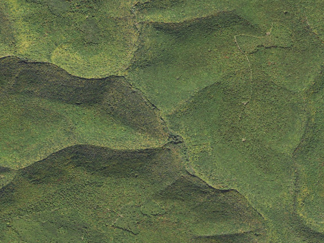 Aerial image of Tiadaghton State Forest roadside campsite 7M 005