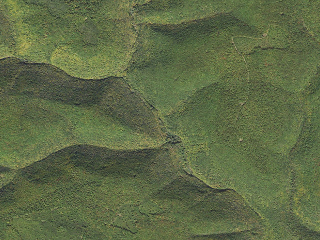 Aerial image of Tiadaghton State Forest roadside campsite 7M 006