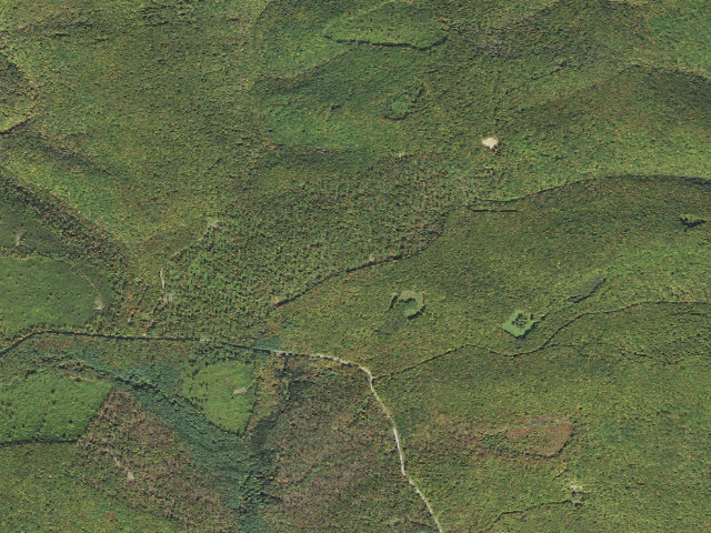 Aerial image of Tiadaghton State Forest roadside campsite BD 001