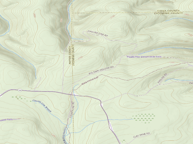 USGS topographic map of Tiadaghton State Forest roadside campsite BD 001