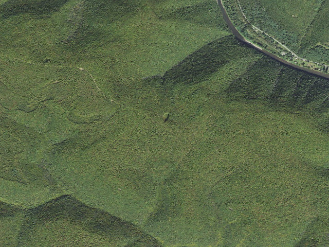 Aerial image of Tiadaghton State Forest roadside campsite BT 001