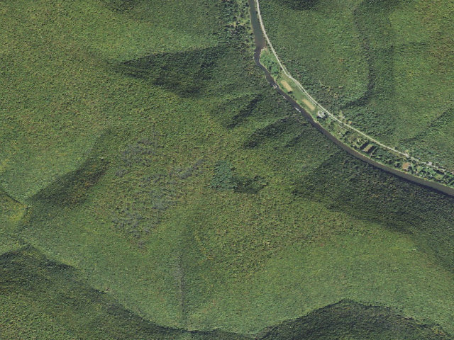 Aerial image of Tiadaghton State Forest roadside campsite BT 002