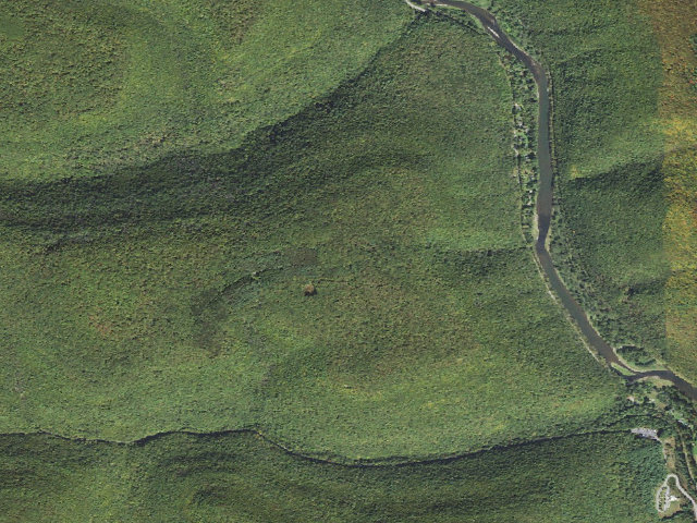 Aerial image of Tiadaghton State Forest roadside campsite BU 001