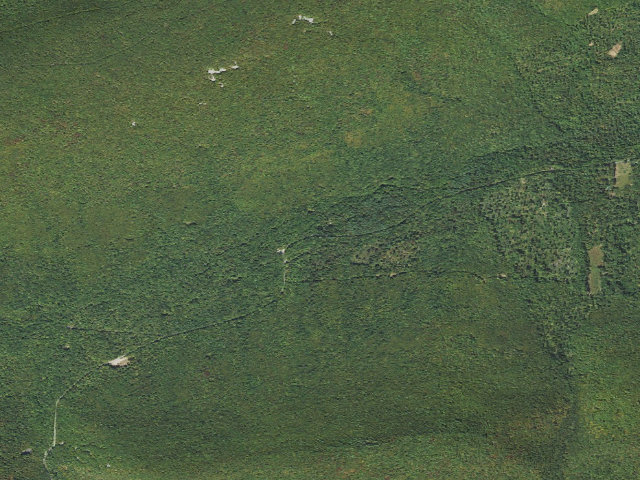 Aerial image of Tiadaghton State Forest roadside campsite CCC 007