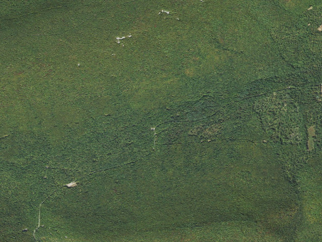 Aerial image of Tiadaghton State Forest roadside campsite CCC 005