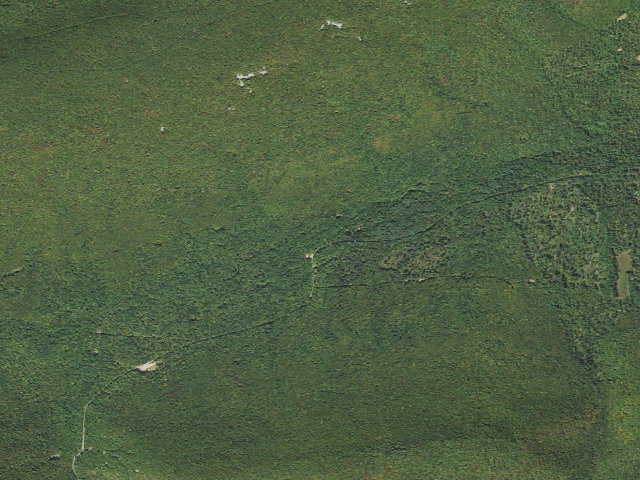 Aerial image of Tiadaghton State Forest roadside campsite CCC 004