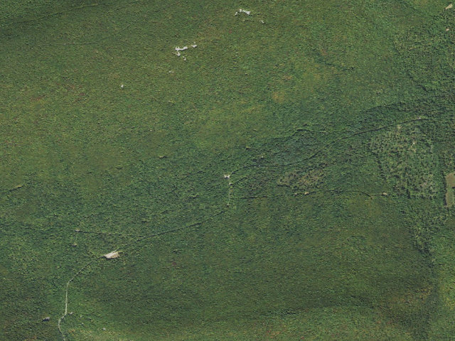 Aerial image of Tiadaghton State Forest roadside campsite CCC 002