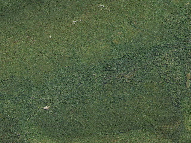 Aerial image of Tiadaghton State Forest roadside campsite CCC 003