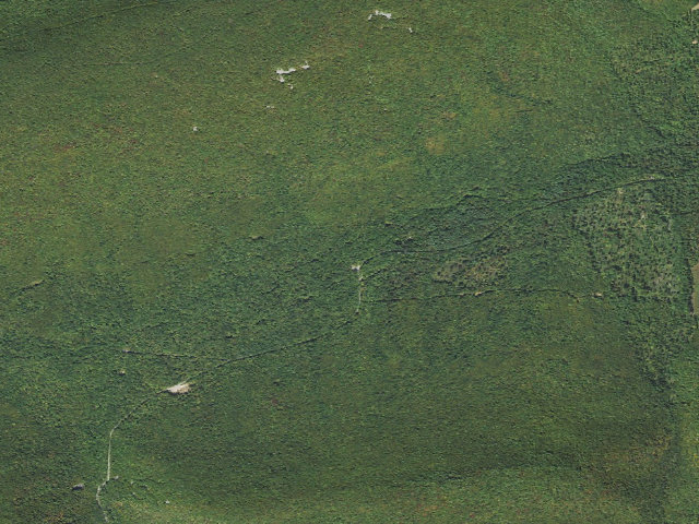 Aerial image of Tiadaghton State Forest roadside campsite CCC 001