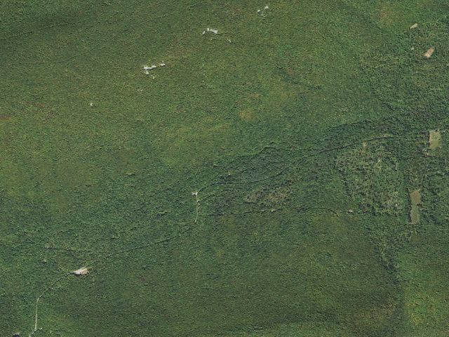 Aerial image of Tiadaghton State Forest roadside campsite CCC 006