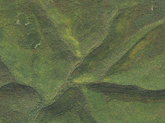Aerial image of Tiadaghton State Forest roadside campsite CL 001