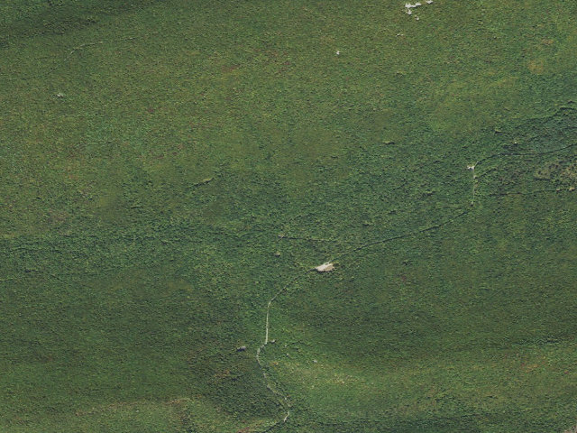 Aerial image of Tiadaghton State Forest roadside campsite CO 001