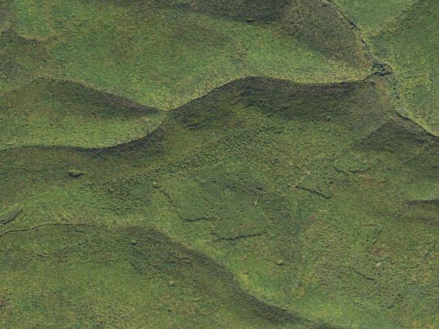 Aerial image of Tiadaghton State Forest roadside campsite CR 001