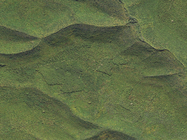 Aerial image of Tiadaghton State Forest roadside campsite CR 002