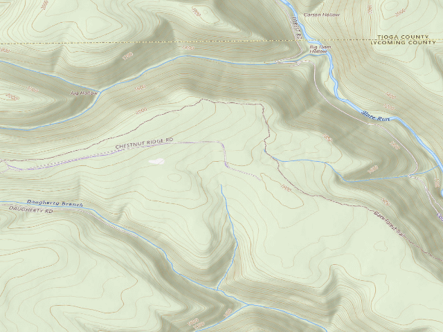 USGS topographic map of Tiadaghton State Forest roadside campsite CR 002