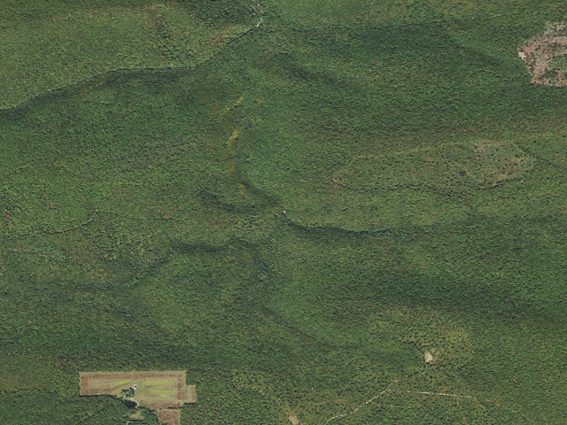 Aerial image of Tiadaghton State Forest roadside campsite ER 001
