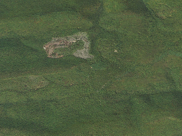 Aerial image of Tiadaghton State Forest roadside campsite FG 001