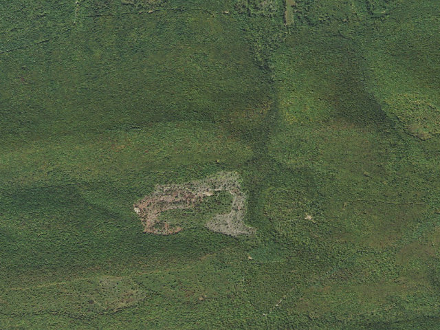 Aerial image of Tiadaghton State Forest roadside campsite FG 002