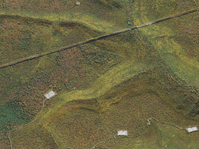 Aerial image of Tiadaghton State Forest roadside campsite HR 002