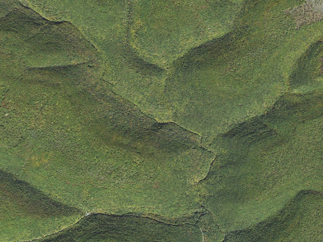 Aerial image of Tiadaghton State Forest roadside campsite LM 001