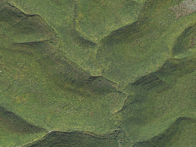 Aerial image of Tiadaghton State Forest roadside campsite LM 002