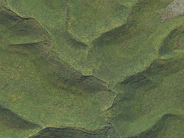 Aerial image of Tiadaghton State Forest roadside campsite LM 003