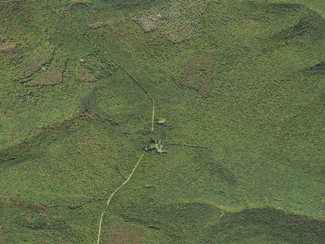 Aerial image of Tiadaghton State Forest roadside campsite MF 001