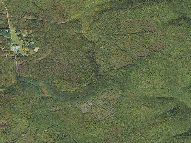 Aerial image of Tiadaghton State Forest roadside campsite MF 002