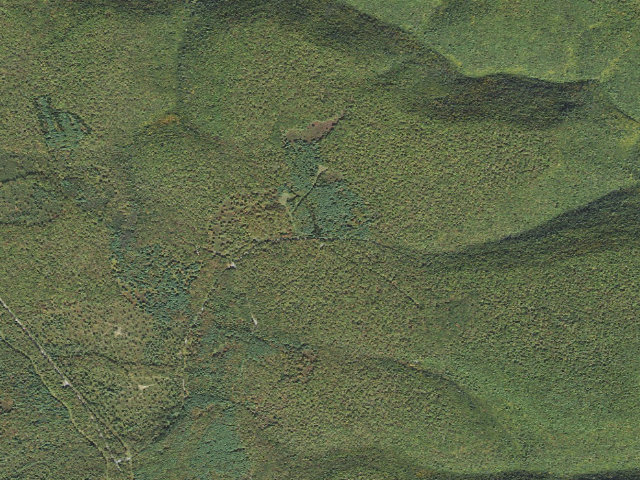 Aerial image of Tiadaghton State Forest roadside campsite NG 001