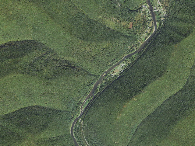 Aerial image of Tiadaghton State Forest roadside campsite NR 003 (Naval Run)