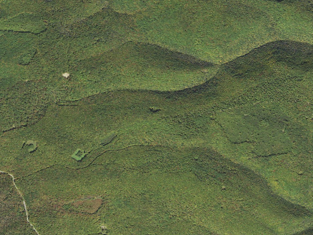 Aerial image of Tiadaghton State Forest roadside campsite PR 001