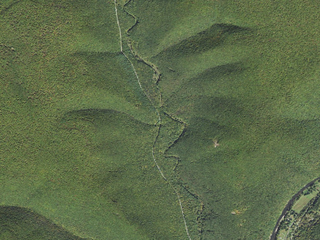 Aerial image of Tiadaghton State Forest roadside campsite SR 001