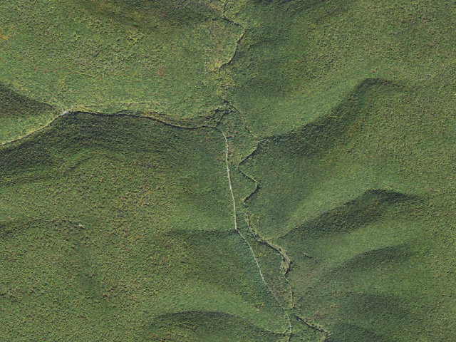 Aerial image of Tiadaghton State Forest roadside campsite SR 002