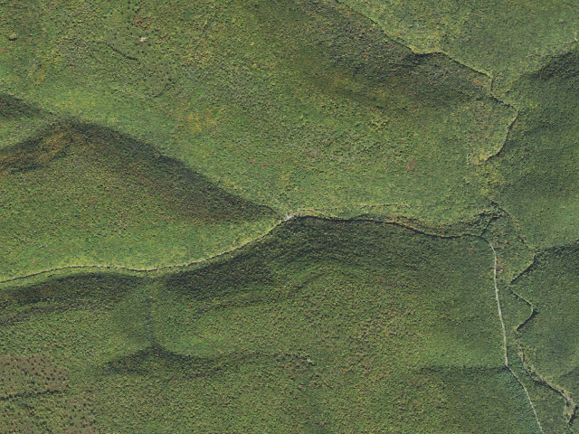 Aerial image of Tiadaghton State Forest roadside campsite SR 003