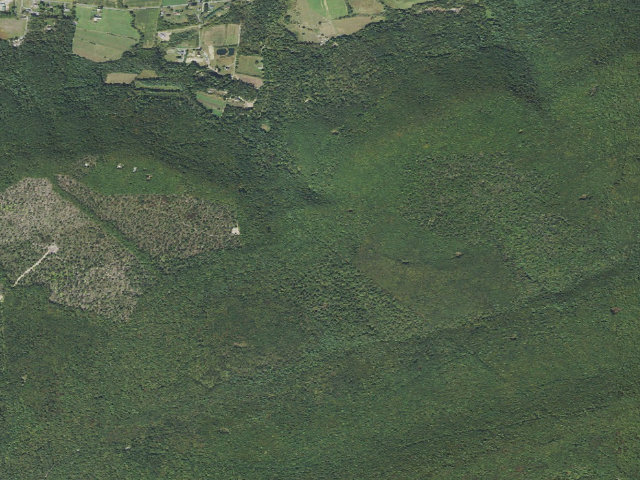 Aerial image of Tiadaghton State Forest roadside campsite SS 001
