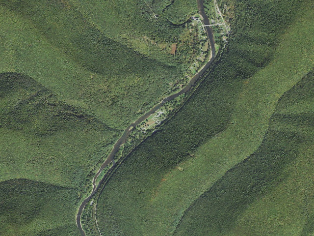 Aerial image of Tiadaghton State Forest roadside campsite TF 001 (Tomb Flats)